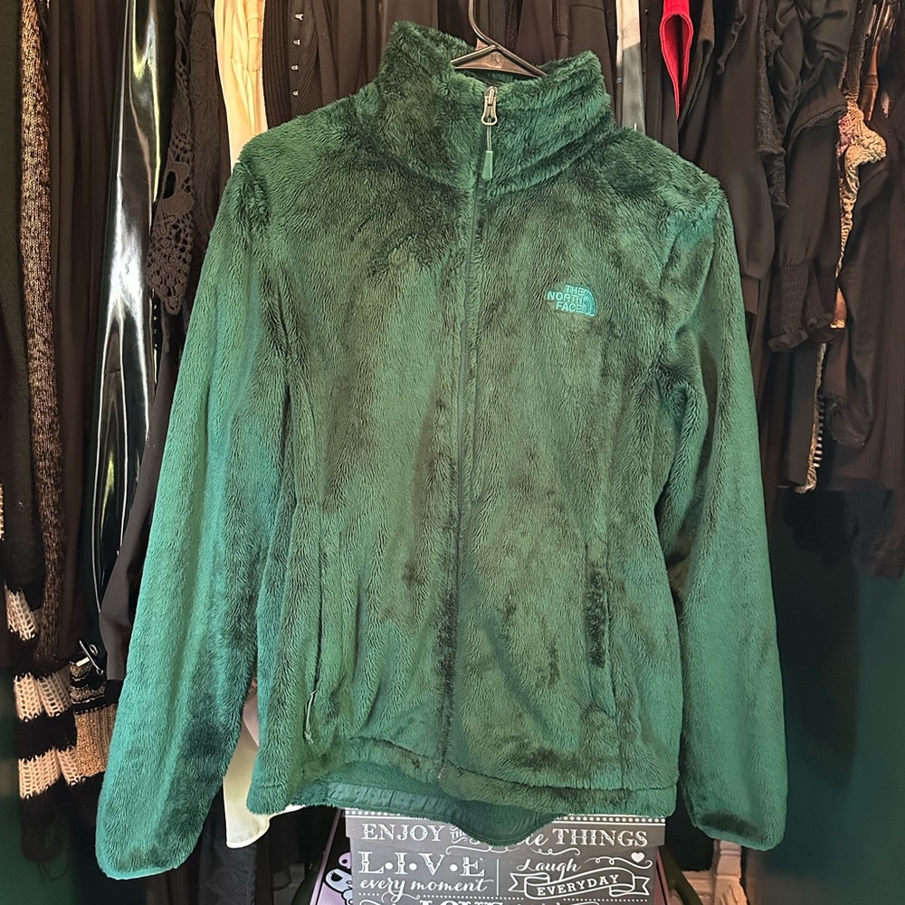 the north face fuzzy emerald green jacket
